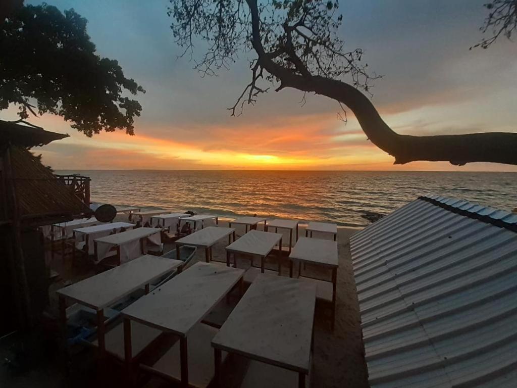 Oasisbluecartagena Hostal *