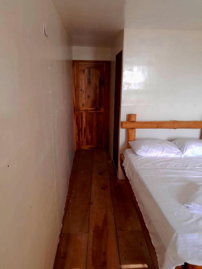 Oasisbluecartagena Hostel *
